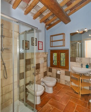 Shower, hair dryer, bidet, towels