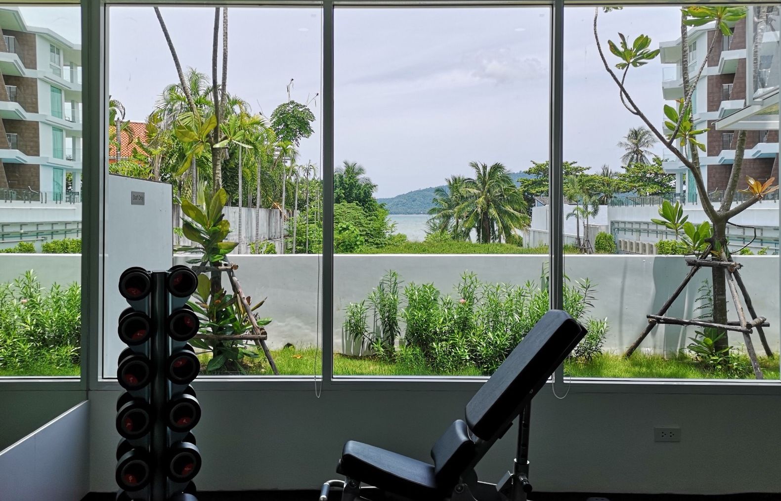 Palestra