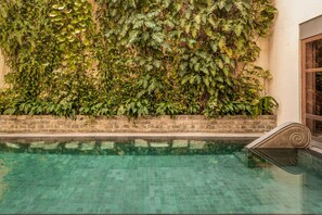 A swimming pool with clear water, surrounded by a brick wall and lush green foliage.