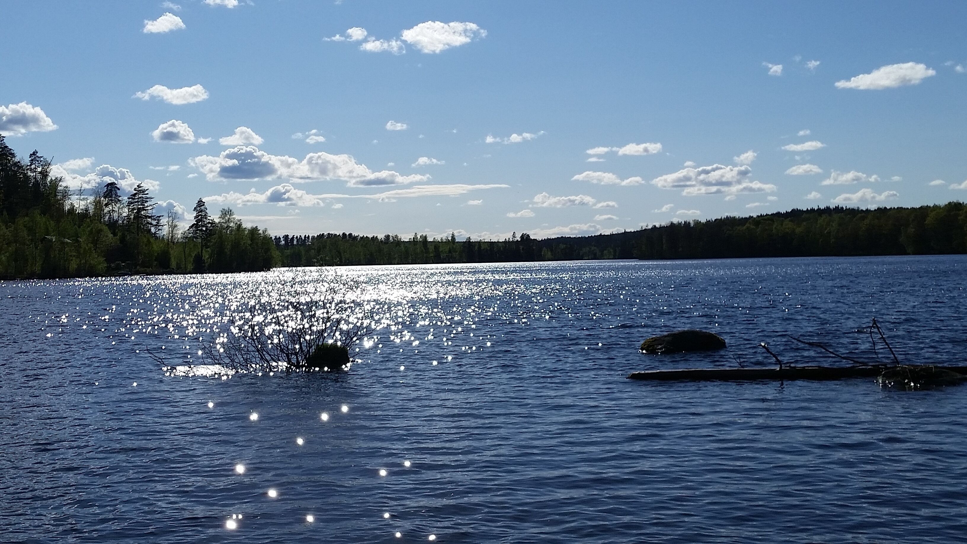 A calm lake with reflections of the sky, surrounded by a forested shoreline.