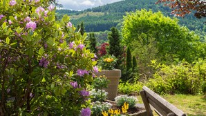 A garden with a bench, flowering plants, and a view of a forested hill. - Hotel Am Fang (Bad Laasphe)