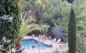 A pool surrounded by various plants and trees, with lounge chairs and a stone pathway. - La Bastide du Beausset-Vieux (Le Beausset)