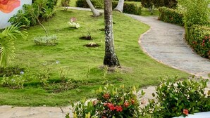 A tropical garden with a paved pathway, palm trees, and a building with a tiled roof.