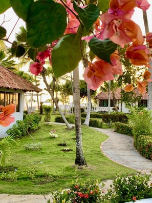 Property grounds - ON THE Cliff IN THE Caribbean SEA - Villa Maura (Boca Chica)