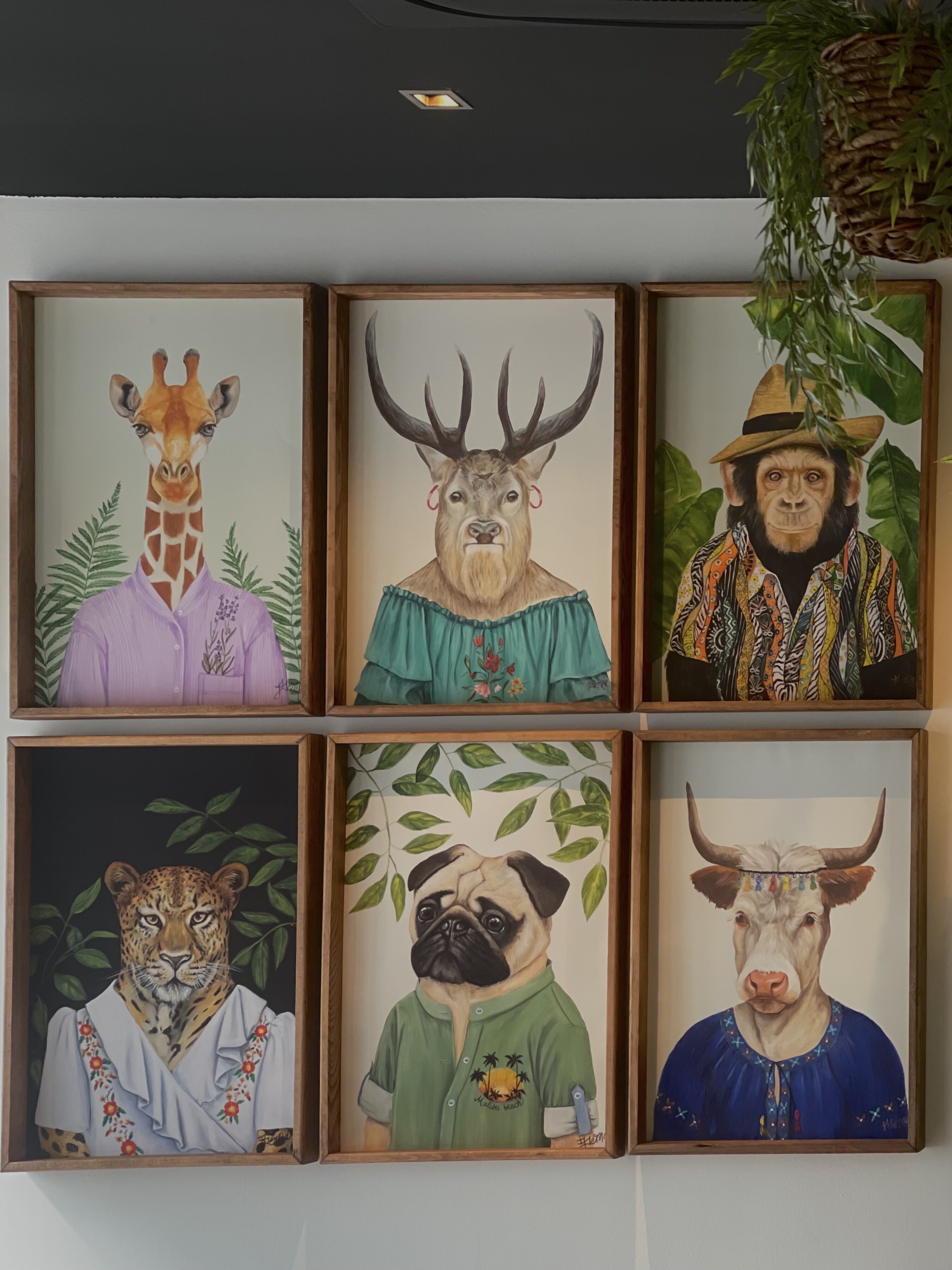 Six portraits d’animaux encadrés, accrochés au mur.
