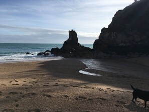Uma praia com formações rochosas e um cão em primeiro plano.