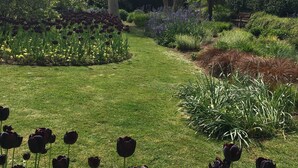 Un jardín con diversas plantas y flores, entre ellas tulipanes y flores amarillas.