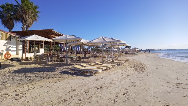 Un restaurant situé en bord de mer, avec une terrasse et des parasols, une plage de sable et un palmier.