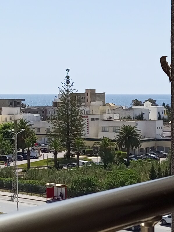 A coastal cityscape with buildings, palm trees, and a clear view of the sea.