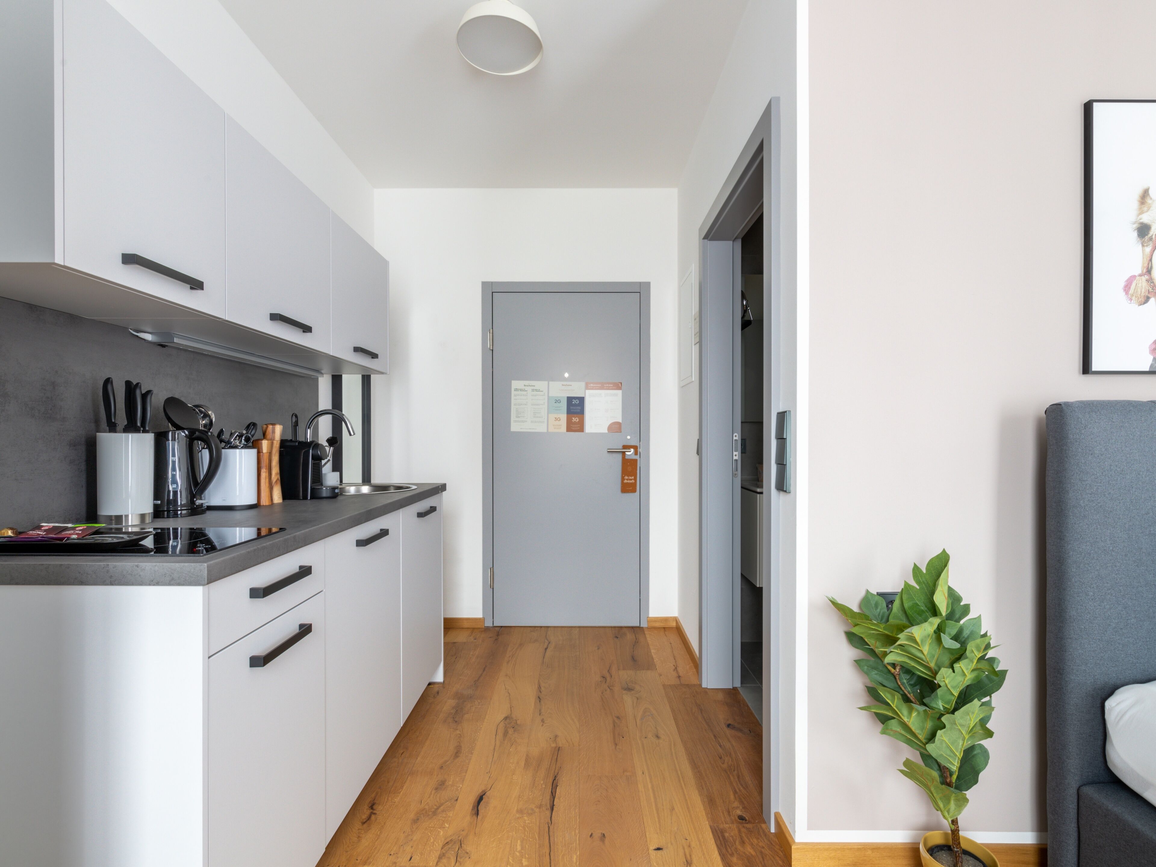 A modern kitchen with grey cabinets, a wooden floor, and a small plant by the door.
