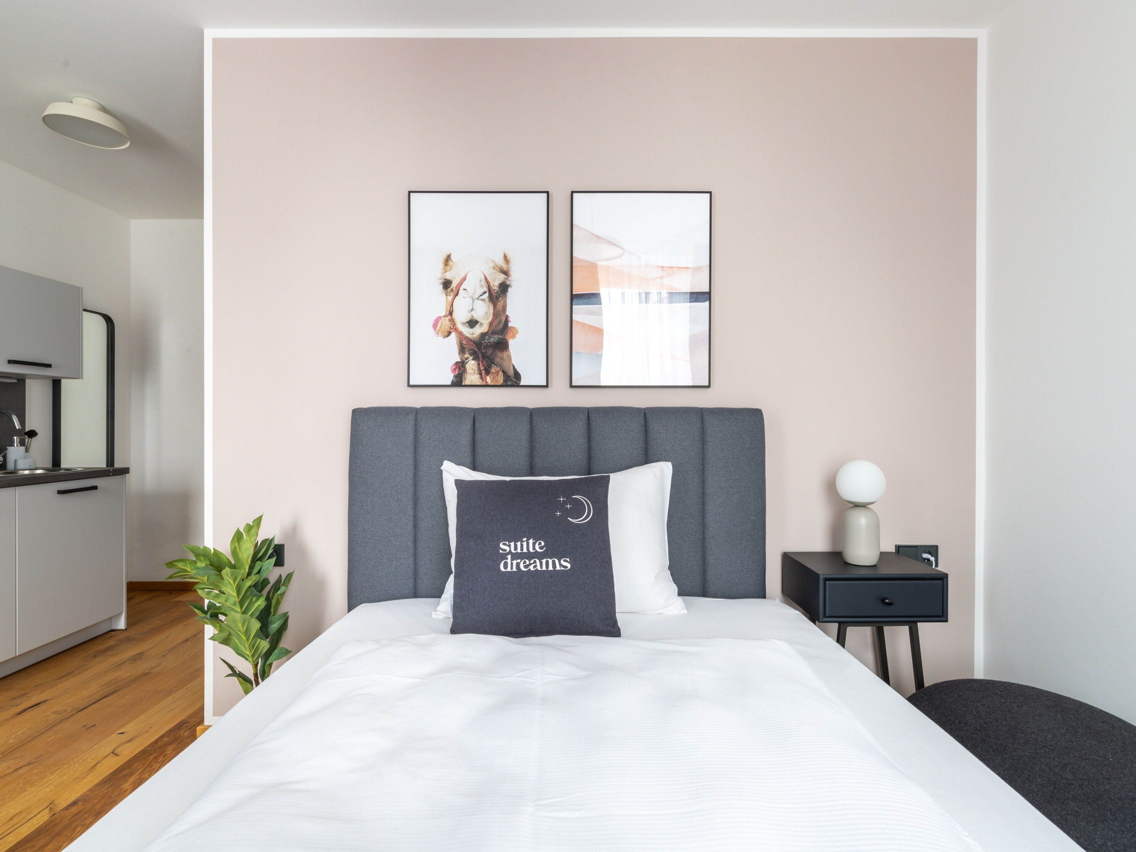Una habitación de hotel moderna con una cama, una mesita de noche, una planta en maceta y vistas al baño.