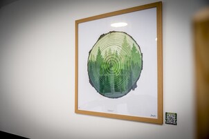 Una obra de arte enmarcadas con el título 'Forest' en una pared.