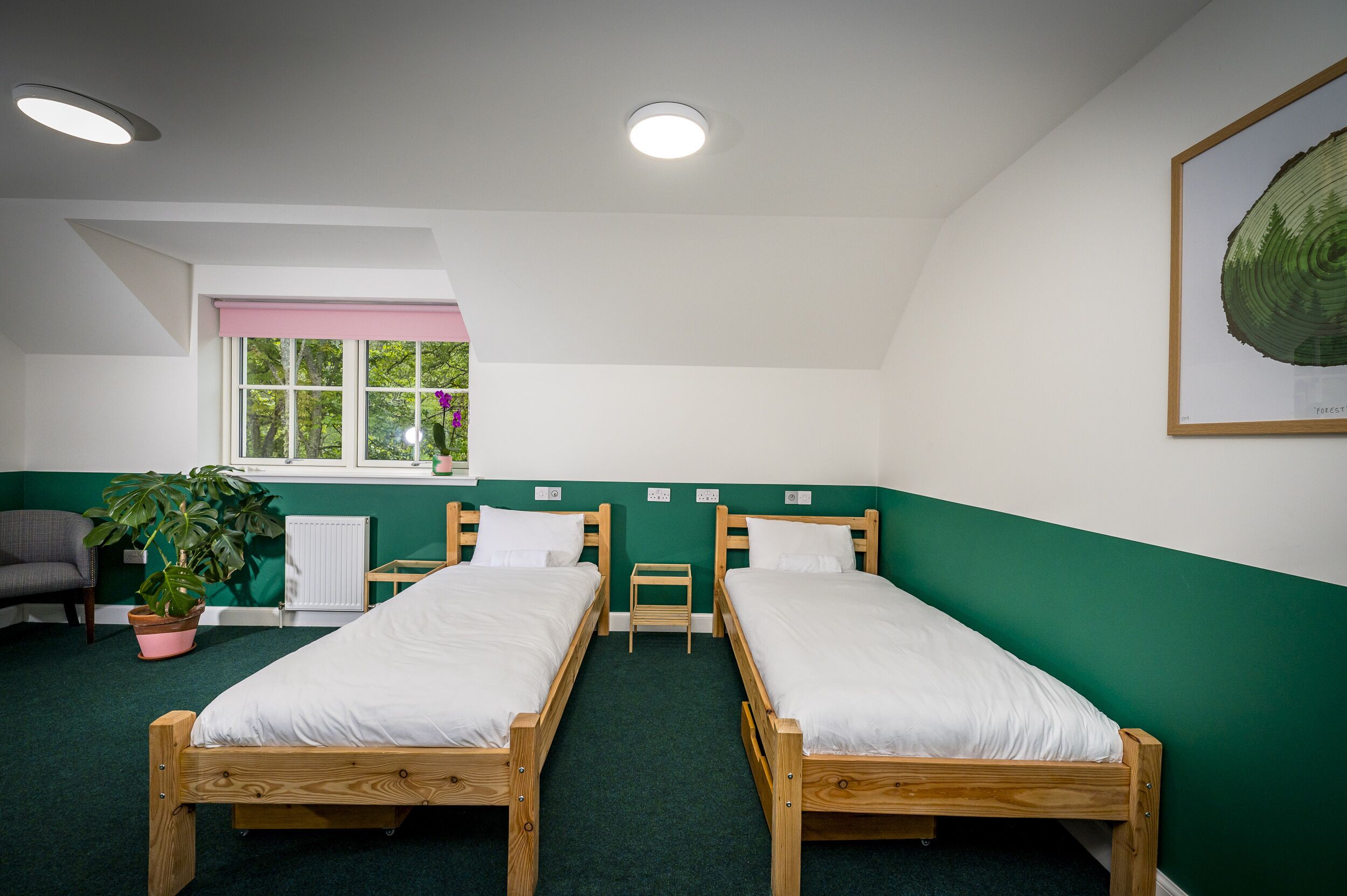 A room with two wooden beds, a window with a view of greenery, a radiator, a chair, and a potted plant.
