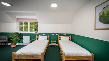 A room with two wooden beds, a window with a view of greenery, a radiator, a chair, and a potted plant.