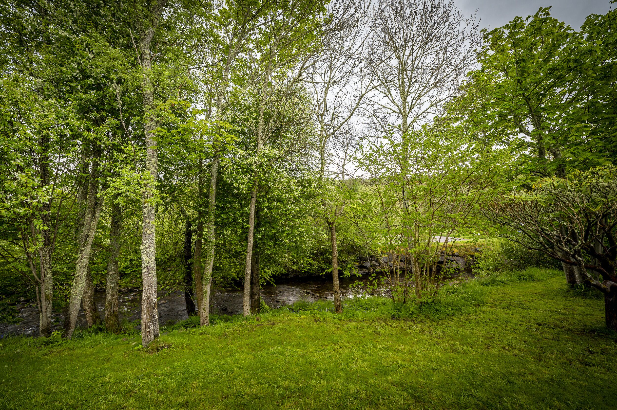A natural landscape with a stream, dense trees, and grassy areas.