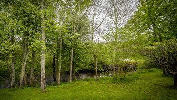 A natural landscape with a stream, dense trees, and grassy areas.