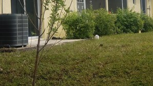 Une rangée de bâtiments d’un seul étage, dotés d’un toit plat, avec un petit jardin agrémenté de pelouse et d’arbustes, et un réservoir d’eau en premier plan.