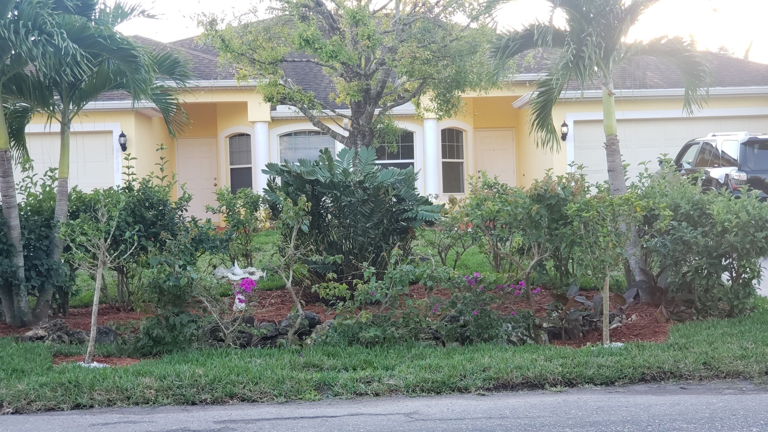 A residential house with a yellow facade, large windows, and a well-maintained garden with various plants and a birdbath.