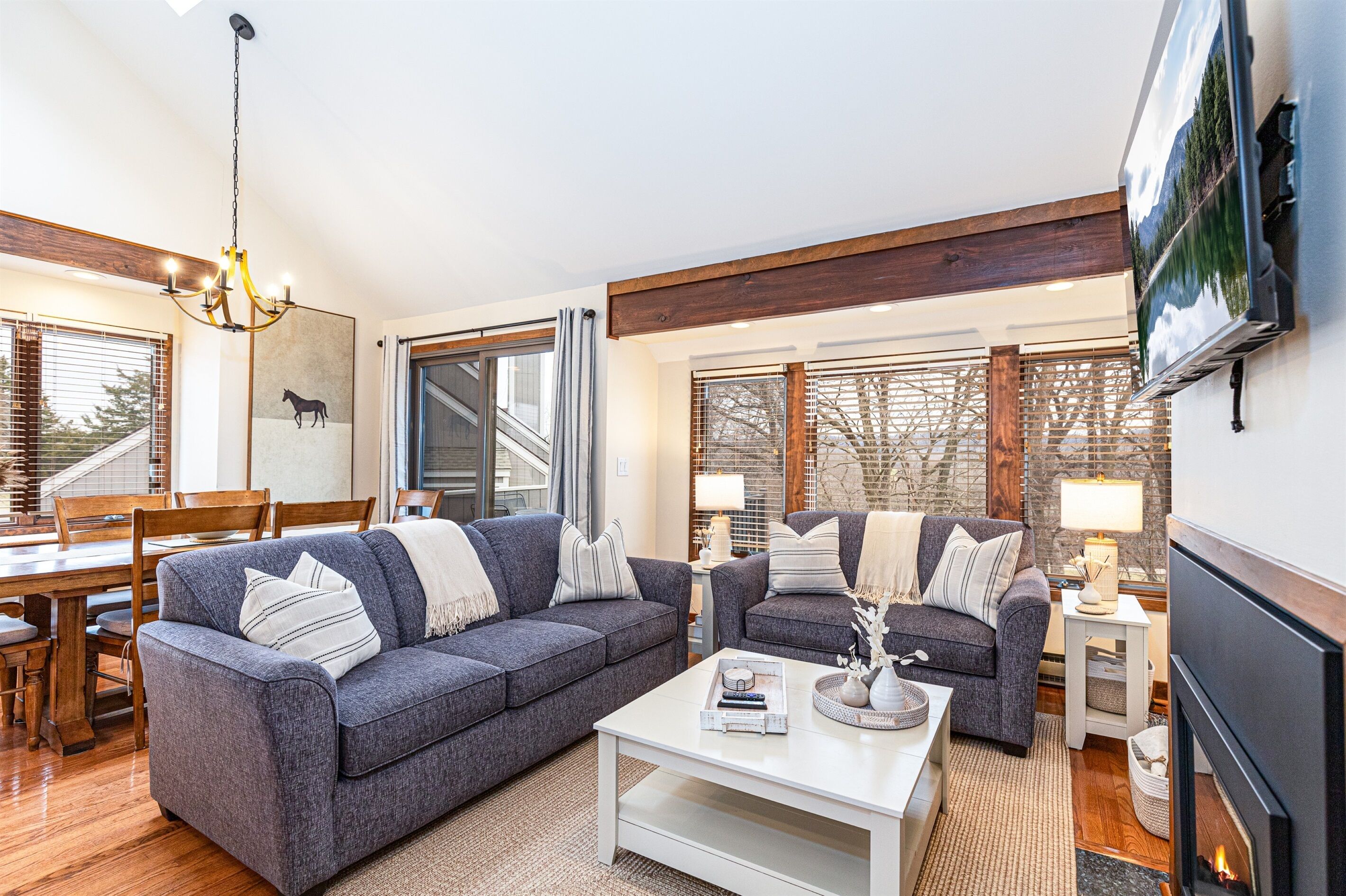 Smart TV, fireplace, printers