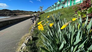 A coastal walkway with benches, a stone wall, and a row of green and white buildings with a clear view of the sea. - Spacious, Stylish House - 500 yards to the sea front (West Cross)
