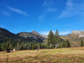 Escape to a serene mountain retreat surrounded by lush forests and majestic peaks.