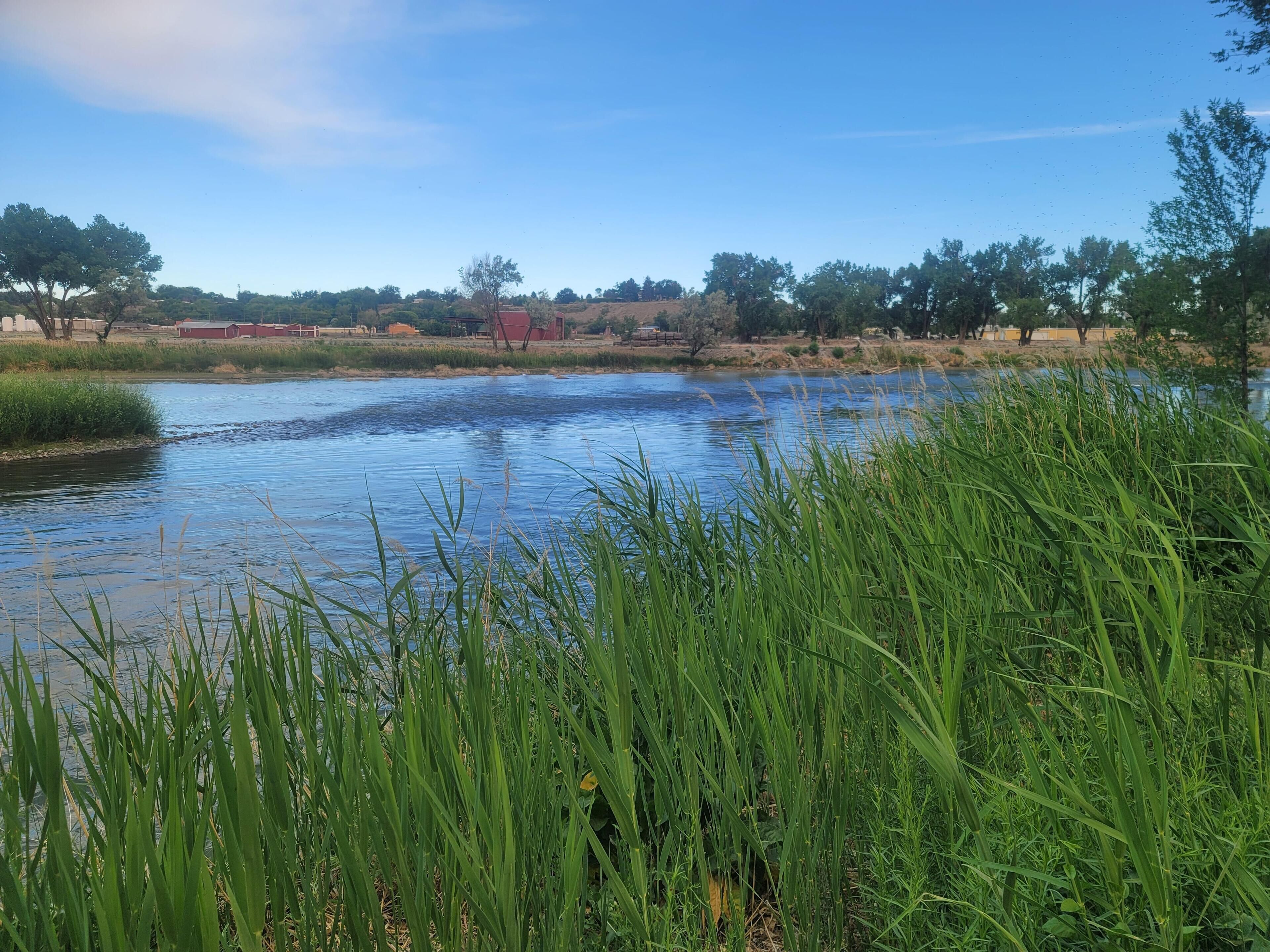 Quaint Unit Next to the Gunnison River! Perfect for Fishing & Exploring Outdoors