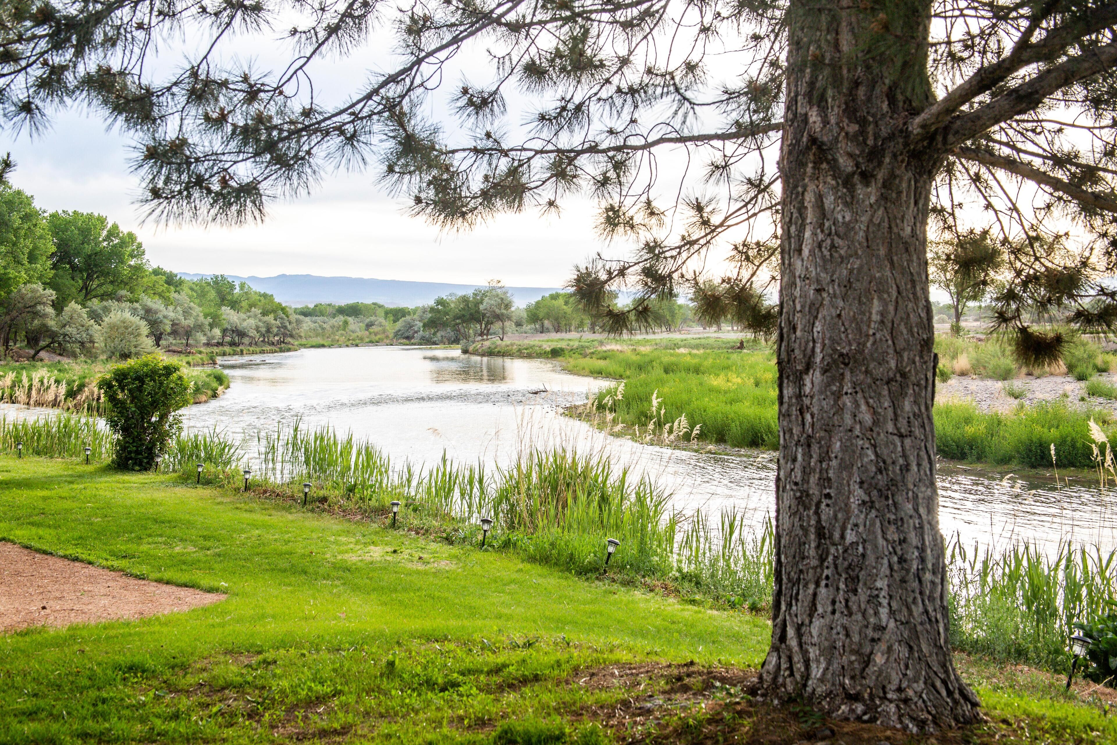 Gunnison River View!  Relax and Experience True Nature Right Outside Your Door