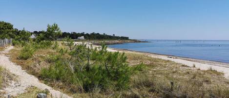 A beach with a sandy path, a wooden fence, and a clear blue sky.