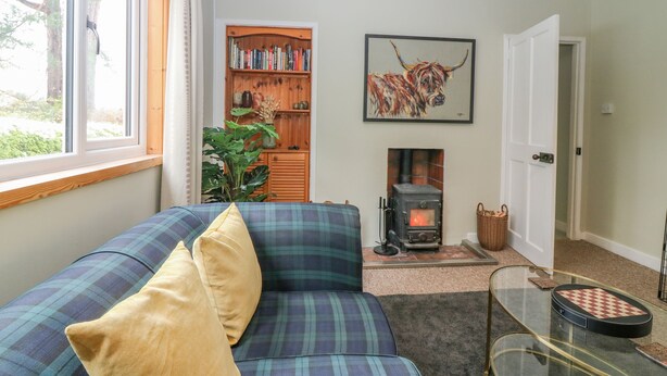 A cozy living room with a plaid sofa, a fireplace, a bookshelf, and a large window.