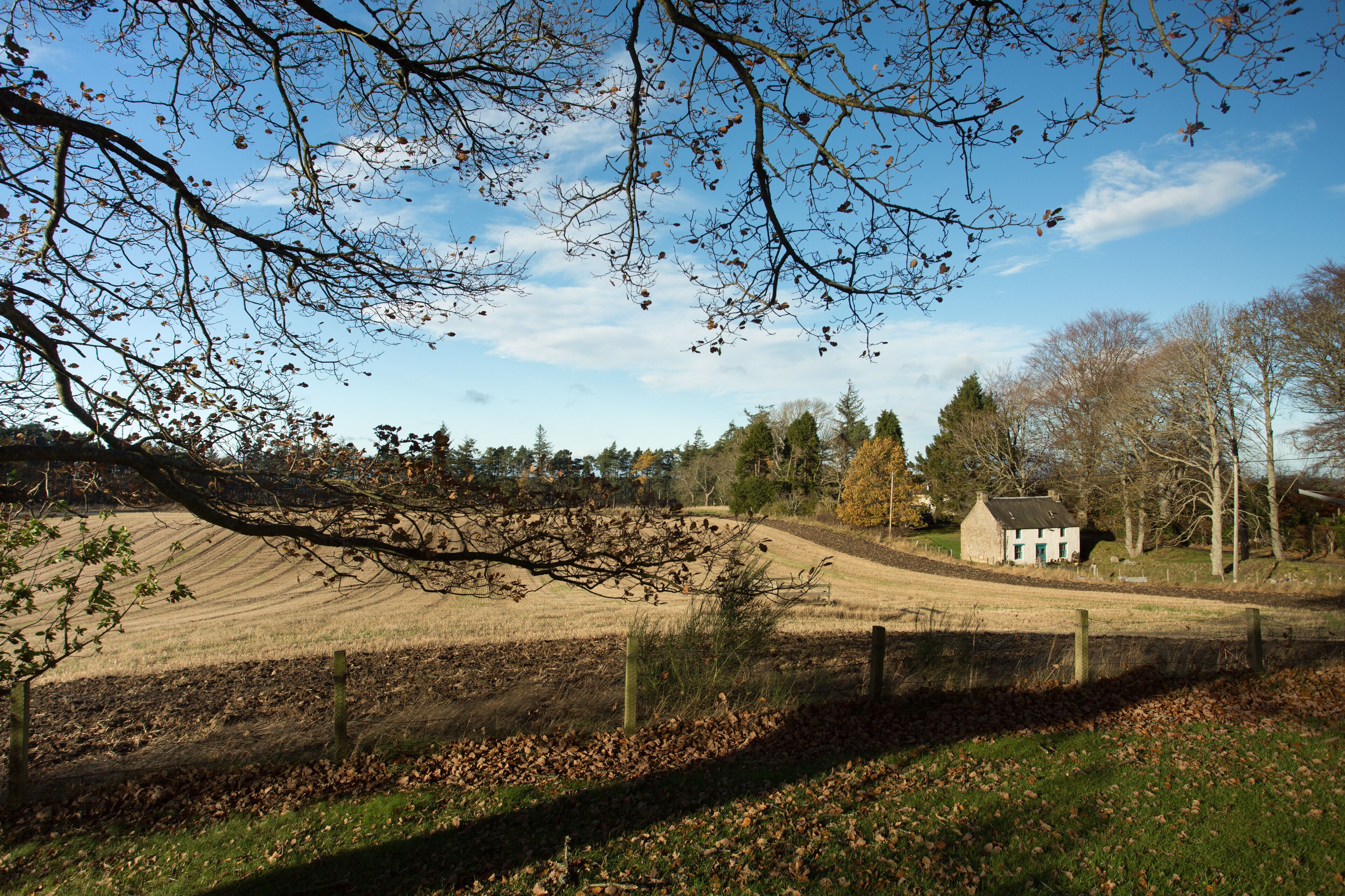 A rural landscape with rolling hills, a small white house, and a fence.