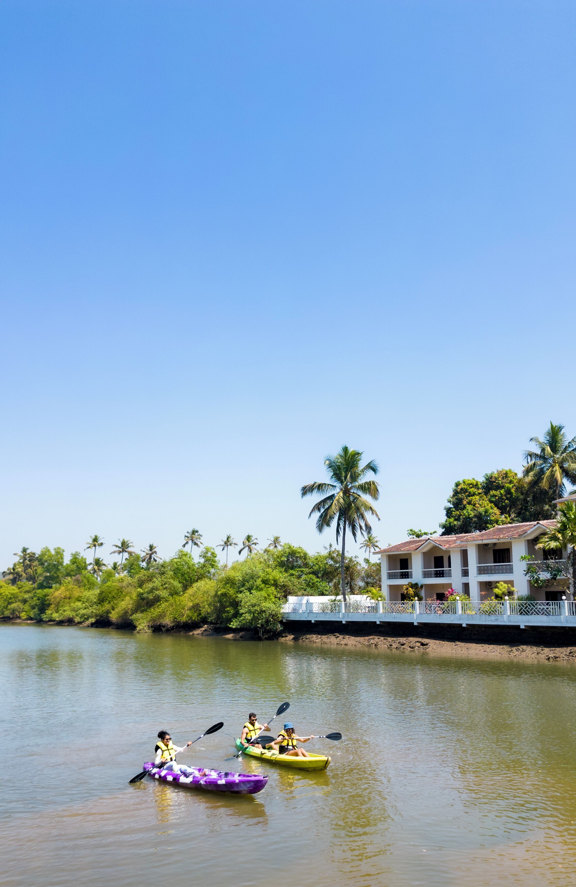 Two kayaks on calm water with a clear sky and palm trees in the background.