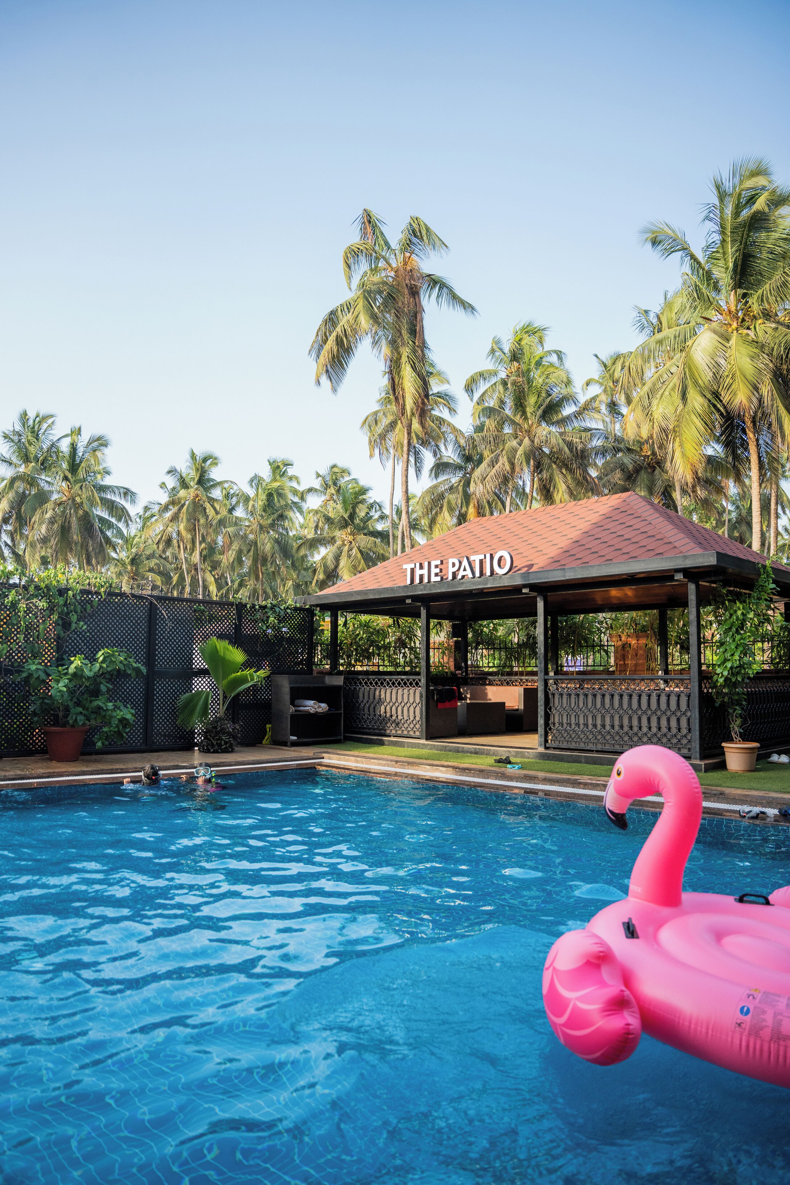 室外泳池；07:00 至 21:00 開放；躺椅