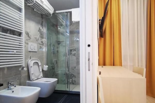Shower, hair dryer, bidet, towels