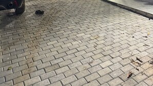 A paved courtyard with a car parked on the left, a building with glass doors and windows, and palm trees in the background. - Two minutes from the beach. House surrounded by nature. 500m² of private area. (São Sebastião)