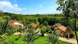 Un village rural aux maisons traditionnelles, entouré d’une végétation luxuriante et de vignobles.