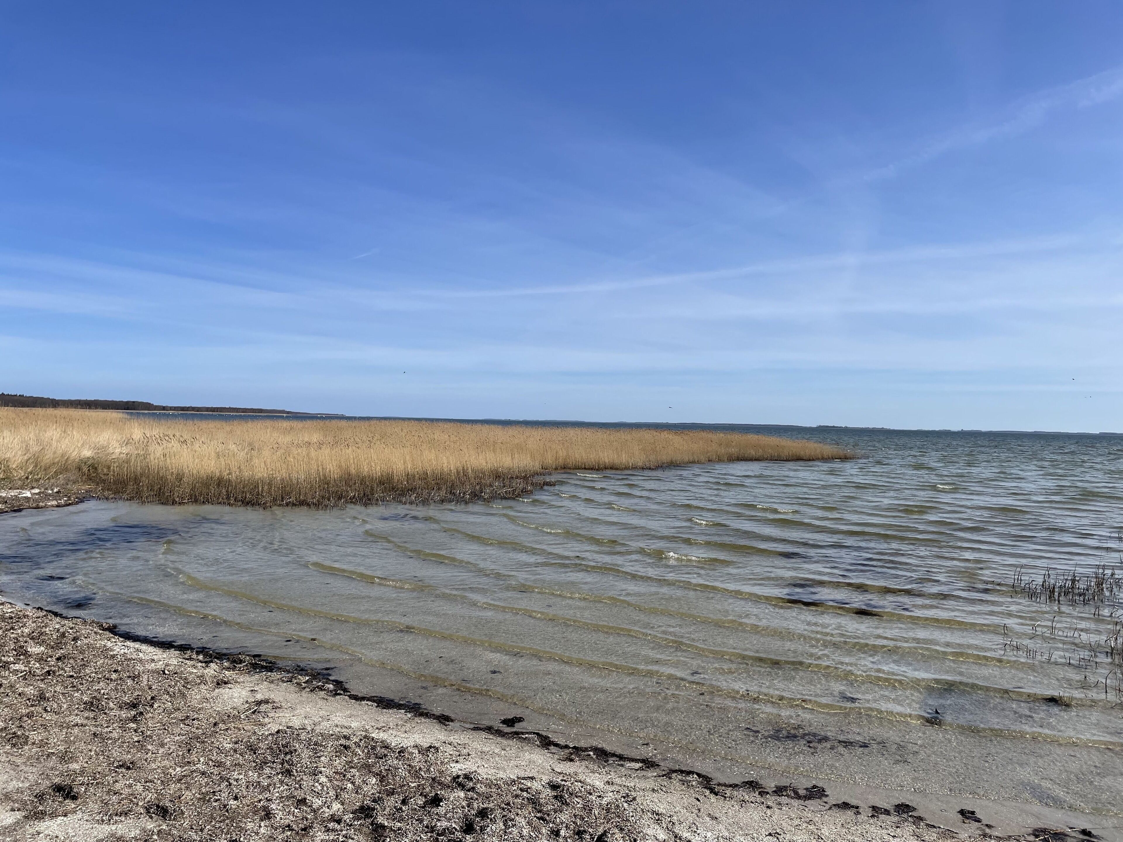 On the beach, sun loungers