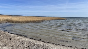 Eine Küstenlandschaft mit Sandstrand und hohem Gras.