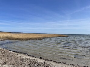 Accommodatie ligt op het strand, ligstoelen