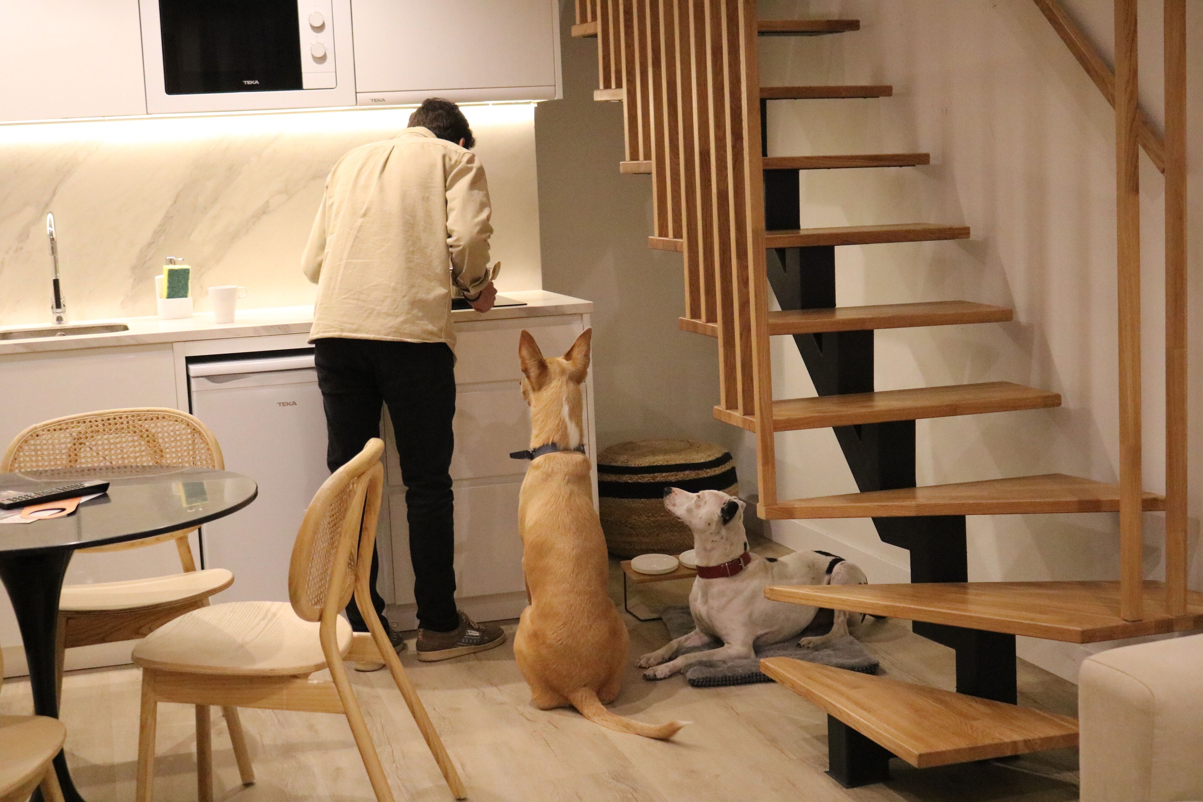 A modern kitchen with a person standing by the counter, two dogs sitting and one lying on the floor, and a wooden staircase.