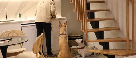 A modern kitchen with a person standing by the counter, two dogs sitting and one lying on the floor, and a wooden staircase.