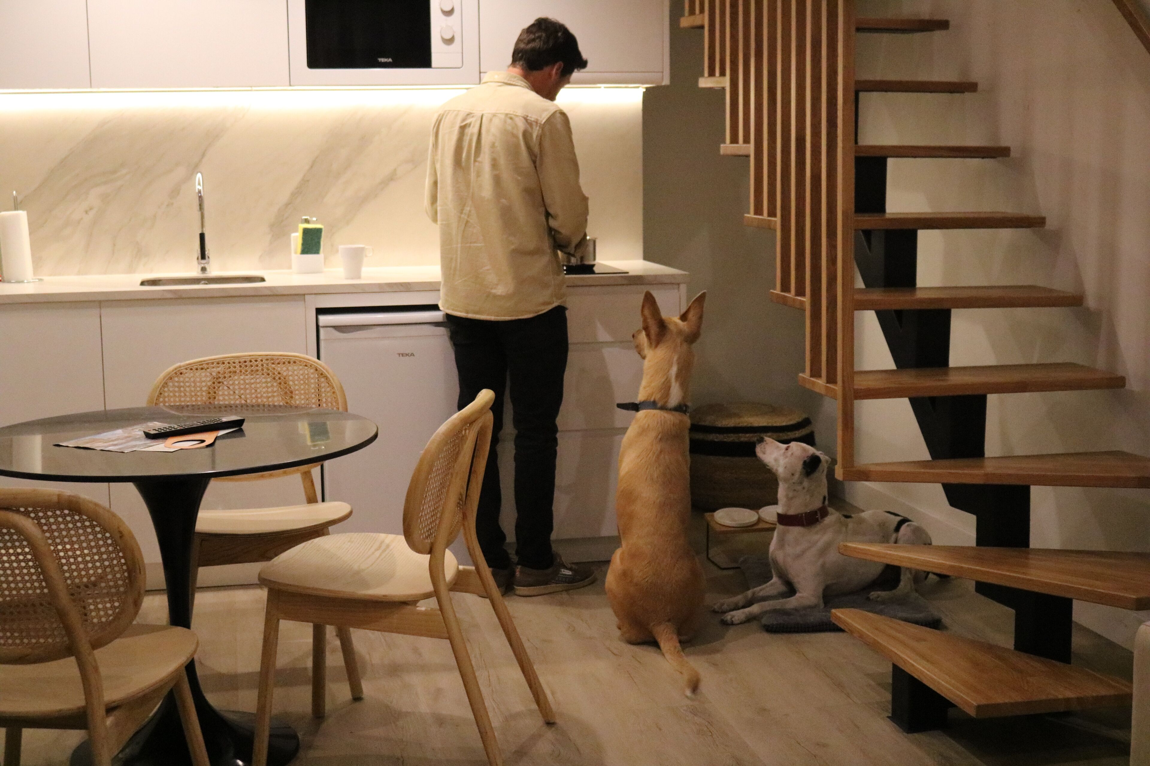 A modern kitchen with a person cooking, two dogs, a dining table with chairs, and a staircase.