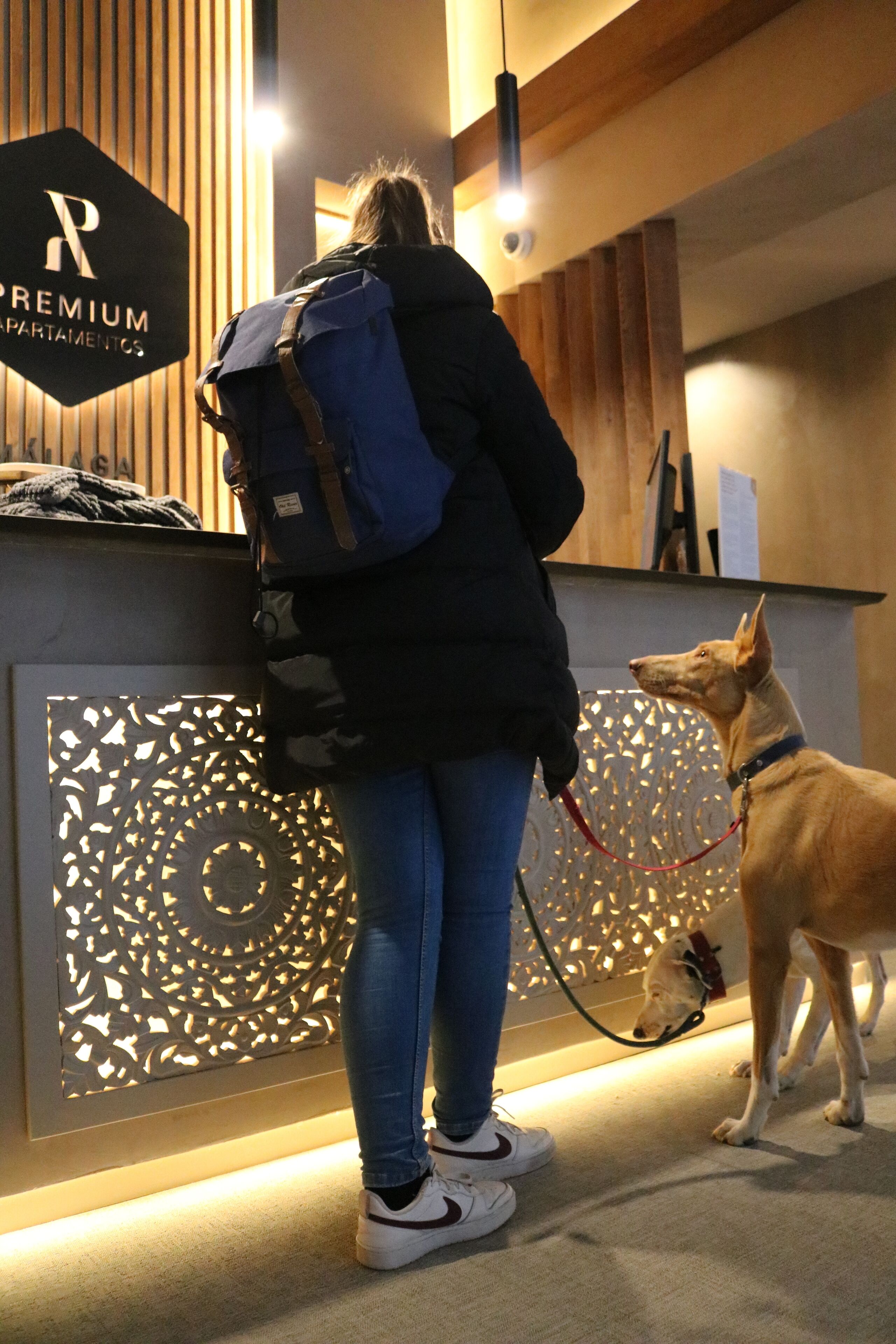 A person with a dog at a reception desk with a sign that reads "PREMIUM APARTMENTS".