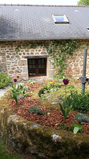 A stone house with a small window and a door, surrounded by a garden with various plants and flowers.