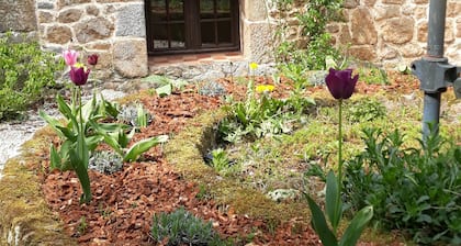 The ArboréSenS gîte in the heart of Suisse Normande