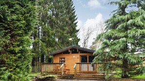 A wooden cabin with a porch, surrounded by tall evergreen trees. - 2 bedroom accommodation in Charlcot, near Masham (Charlcot, near Masham)
