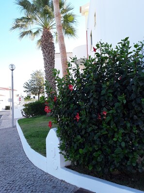 Jardines del alojamiento
