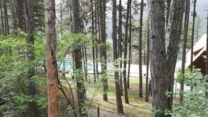 Zona boscosa con árboles altos y un área cercada.