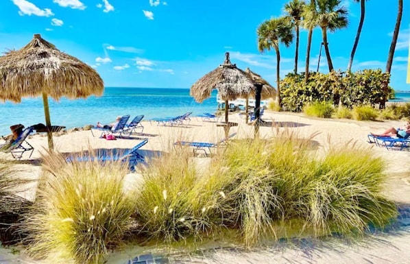 Relax in a tropical paradise surrounded by lush greenery and palm trees, with comfortable lounge chairs and shaded areas.
