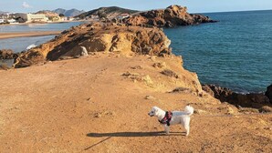 A coastal area with rocky terrain and a beach. - Surise Den- Walk to the beach, sea view and pool. Holiday rentals & winter stays (Puerto de Mazarrón)