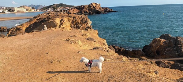 Ubicación cercana a la playa